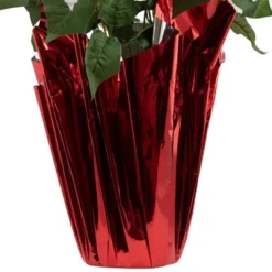 Northlight 26" White Artificial Christmas Poinsettia In Red Wrapped Base -Northlight Store GUEST a5ffe649 2329 412d b16f 13139f8caa12