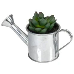 Northlight 4" Tropical Rose Succulent In Water Can Artificial Potted Plant - Green/Silver -Northlight Store GUEST a6928734 e9f3 43f7 bb4f 1425907464e3