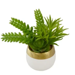 Northlight 6.5" Potted Mixed Artificial Succulent Arrangement -Northlight Store GUEST a6b9926a 4f3e 4c9e 94de 202de20f18aa