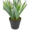 Northlight 13" Two-Tone Grass Artificial Potted Plant - Green/White 1 Northlight 13" Two-Tone Grass Artificial Potted Plant - Green/White -Northlight Store GUEST a972c648 7d33 493e 84ff 1aac1c367eb4