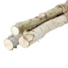 Northlight 38.5" Birch Wood Branch Bundle Christmas Display -Northlight Store GUEST abe83021 40a1 4968 b0e8 a9bf85ee3d07