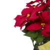 Northlight 28" Red Artificial Christmas Poinsettia With Gold Wrapped Pot 2 Northlight 28" Red Artificial Christmas Poinsettia With Gold Wrapped Pot -Northlight Store GUEST abe976f5 8a68 4ab8 841c bf890d3e51e7