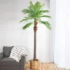 Northlight 8' Unlit Artificial Potted Phoenix Palm Tree -Northlight Store GUEST abfb8dc0 edbc 4699 beed 400ac37de436