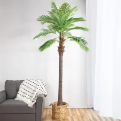 Northlight 8' Unlit Artificial Potted Phoenix Palm Tree