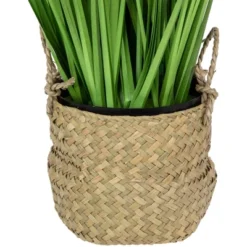 Northlight 28" Artificial Onion Grass Plant In Basket -Northlight Store GUEST abfcb17d 44f7 42f1 83c7 82b2a82022e4