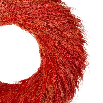 Northlight Red And Orange Ears Of Wheat Fall Harvest Wreath - 16-Inch, Unlit 5 Northlight Red And Orange Ears Of Wheat Fall Harvest Wreath - 16-Inch, Unlit - Image 3