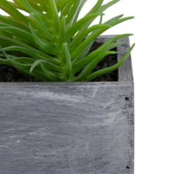Northlight 12" Artificial Mixed Succulent Plants In A Rectangular Planter -Northlight Store GUEST b082e321 68c6 4a6d 9584 3672f07fc35e