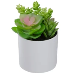 Northlight 5.5” Mixed Artificial Succulent Arrangement In A White Pot -Northlight Store GUEST b0b4160a 5f01 4bcf ad0b d790f41576c6