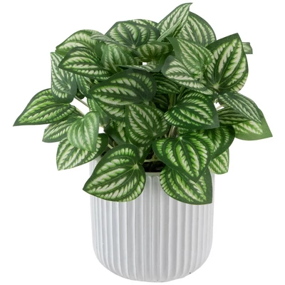 Northlight 6.5" Artificial Watermelon Peperomia Plant In White Pot 4 Northlight 6.5" Artificial Watermelon Peperomia Plant In White Pot - Image 2
