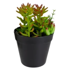 Northlight 8" Mixed Succulent Artificial Plant Arrangement In Pot - Green/Red -Northlight Store GUEST b1b550ad ba29 4764 8448 caf7bfb8aef9