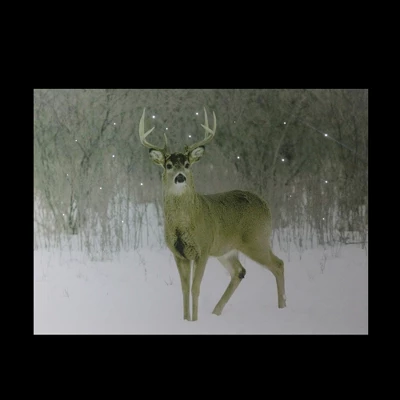 Northlight Fiber Optic Lighted Majestic Buck Canvas Wall Art 12" X 15.75" 4 Northlight Fiber Optic Lighted Majestic Buck Canvas Wall Art 12" X 15.75" - Image 2