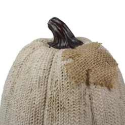 Northlight 6.25" White Pumpkin Autumn Harvest Thanksgiving Tabletop Decoration -Northlight Store GUEST b371f364 a091 4f33 8c31 f4a08038de15