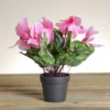 Northlight 12" Pink Potted Cyclamen Spring Artificial Floral Arrangement -Northlight Store GUEST b61ec9a9 8413 4745 b320 c51f53c920c9