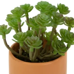 Northlight 5.5" Mini Artificial Succulent In Face Planter Pot 8 Northlight 5.5" Mini Artificial Succulent In Face Planter Pot -Northlight Store GUEST b721889f 7a13 497a 9924 385f17ba5d17
