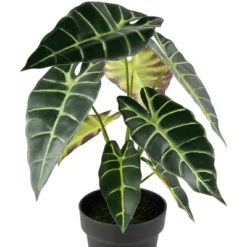 Northlight Real Touch™ Artificial Taro Plant In Black Pot 18" 11 Northlight Real Touch™ Artificial Taro Plant In Black Pot 18" -Northlight Store GUEST b9a0cdda 90f3 4a82 aa21 11dc229abfba