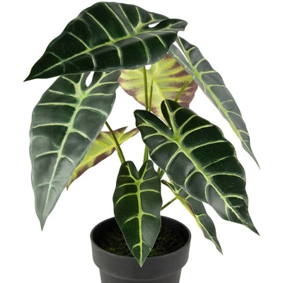 Northlight Real Touch™ Artificial Taro Plant In Black Pot 18" 5 Northlight Real Touch™ Artificial Taro Plant In Black Pot 18" - Image 3