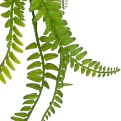 Northlight 18" Artificial Fern Plant With Moss Ball And Hanging Jute Cord -Northlight Store GUEST bb6edb2d bc56 4974 8131 837b66228aaf