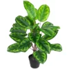 Northlight 30" Two-Tone Green Calathea Artificial Potted Plant -Northlight Store GUEST bb966f8a c00f 453e 9707 eda8372cbe0e