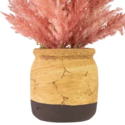 Northlight 12" Pink Cypress Artificial Plant In A Ceramic Pot 9 Northlight 12" Pink Cypress Artificial Plant In A Ceramic Pot -Northlight Store GUEST bcd3a654 f826 4acc 80df 9a2addb95e3c
