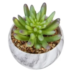 Northlight 4.25" Green Artificial Succulent In Faux Marble Pot -Northlight Store GUEST bce899f7 c336 413e 938d e777b4167c52