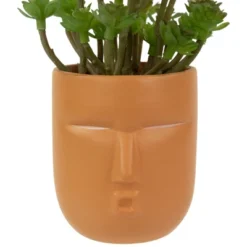 Northlight 5.5" Mini Artificial Succulent In Face Planter Pot 9 Northlight 5.5" Mini Artificial Succulent In Face Planter Pot -Northlight Store GUEST c1f98d74 5ae9 4df7 a367 866022fcc6ce