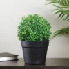 Northlight 12" Potted Artificial Boxwood Spring Plant -Northlight Store GUEST c9c8c13a a64a 411b 8cb4 ca323fbbc777