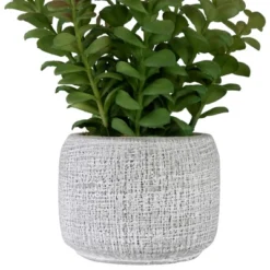 Northlight 12" Artificial Privet Plant In Gray Stone Pot -Northlight Store GUEST cab301ca 845c 42e6 9c2d e82a9148f894