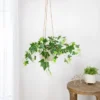 Northlight 23.75" Ivy Artificial Hanging Spring Floral Bush - Green/White -Northlight Store GUEST cae3fe6f 89f8 473a 8022 41a5dcf21167