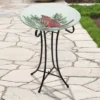Northlight 21" Red Cardinal And Pine Cone Glass Bird Bath With Stand -Northlight Store GUEST ce14cb13 3b0c 4b97 8f08 ba511676c07b