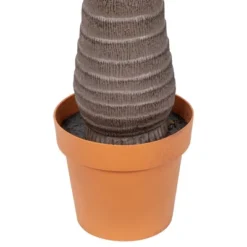 Northlight 8' Unlit Artificial Potted Phoenix Palm Tree -Northlight Store GUEST cef16ac3 1a52 4e49 870b 69dca63ebd5c