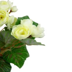 Northlight 11" Cream Potted Silk Begonia Spring Artificial Floral Arrangement -Northlight Store GUEST d1005576 56d8 4ae0 b2cb f58f2f7b439f