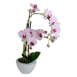 Northlight 21" Pink And White Artificial Orchid Plant In A White Pot -Northlight Store GUEST d4861a23 d951 4796 9276 6fbfd9014732