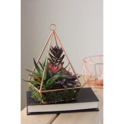 Northlight 9" Succulent Artificial Arrangement In Copper Wire Terrarium - Green/Brown -Northlight Store GUEST d9015d9b dc79 4cc3 a057 1de4592ad46c
