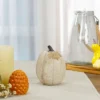 Northlight 6.25" White Pumpkin Autumn Harvest Thanksgiving Tabletop Decoration -Northlight Store GUEST da4bf3a0 4bd4 4fe5 b3e5 9a94fee9b476