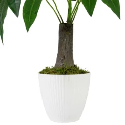 Northlight 18.5" Artificial Guiana Chestnut Plant In White Pot 9 Northlight 18.5" Artificial Guiana Chestnut Plant In White Pot -Northlight Store GUEST da501613 743a 46ed 956a 71b001639a45