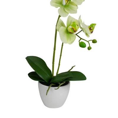 Northlight 14" Ivory, Green, And White Artificial Orchid Potted Plant Tabletop Decor 6 Northlight 14" Ivory, Green, And White Artificial Orchid Potted Plant Tabletop Decor - Image 4