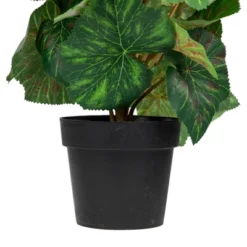 Northlight 11" Red Potted Silk Begonia Spring Artificial Floral Arrangement -Northlight Store GUEST dd746089 1921 4002 ab53 daaf1f165448