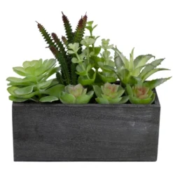Northlight 10" Artificial Mixed Succulent Plants In A Rectangular Planter -Northlight Store GUEST dda60922 fc5b 422d a2aa 5ab6a9e1dcdc
