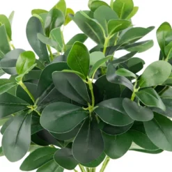 Northlight 18" Two-Tone Polyscias Artificial Spring Floral Bush - Green -Northlight Store GUEST df4952d1 58ea 407a b7ba b7403aa1714d