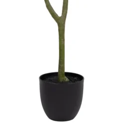 Northlight 4' Artificial Unbraided Potted Green Money Tree 13 Northlight 4' Artificial Unbraided Potted Green Money Tree -Northlight Store GUEST e07a198c 4d81 44ed 9a41 88abf5d8b9f8