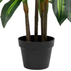 Northlight 36" Two-Tone Green Dracaena Artificial Potted Plant -Northlight Store GUEST e1a4380f 9519 4314 a303 467b807bf022