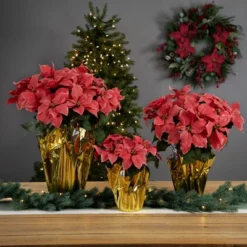 Northlight 20" Dark Pink Artificial Christmas Poinsettia With Gold Wrapped Base 8 Northlight 20" Dark Pink Artificial Christmas Poinsettia With Gold Wrapped Base -Northlight Store GUEST e447550f 0d5b 4453 87a3 b8ca88b5d458