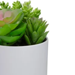 Northlight 5.5” Mixed Artificial Succulent Arrangement In A White Pot -Northlight Store GUEST e4544a23 a138 4189 a90b acfa21c1938a