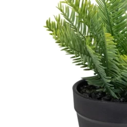 Northlight 7.5" Green Artificial Yew Plant In Black Pot 7 Northlight 7.5" Green Artificial Yew Plant In Black Pot -Northlight Store GUEST e5e388c1 1d26 4e1f 94d5 4db40c5f2748