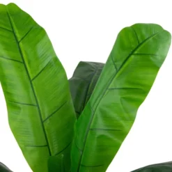 Northlight 4' Artificial Tropical Banana Tree In A Clay Pot -Northlight Store GUEST e9978b3c 2a67 4e95 8d44 b47052ac7f16