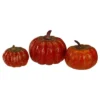 Northlight Set Of 5 Artificial Fall Harvest Pumpkins Decorations 4" -Northlight Store GUEST ea3d6ba3 2e61 4593 980f bdd85d1da953