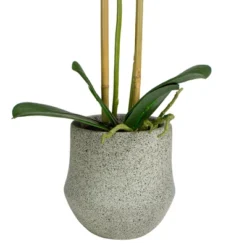 Northlight 14" Purple Artificial Orchid Plant With A Gray Stone Pot -Northlight Store GUEST eab57793 c235 4dab 9fff 1808a8ed3ecb