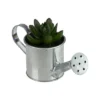 Northlight 4" X Pachyveria Succulent In Water Can Artificial Potted Plant - Green/Silver -Northlight Store GUEST ebf9396e 0dac 4107 9249 4ae896ca3a18