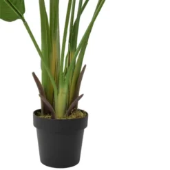 Northlight 70" Artificial Green Travellers Palm Tree -Northlight Store GUEST ecd2a799 a8eb 48b8 bbac f70bcc872e17