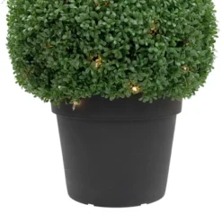 Northlight 20" Pre-Lit Artificial Boxwood Ball Topiary In Round Pot, Clear Lights 6 Northlight 20" Pre-Lit Artificial Boxwood Ball Topiary In Round Pot, Clear Lights -Northlight Store GUEST eeb8ce6e e485 4c76 ba64 de6c20ac41f9